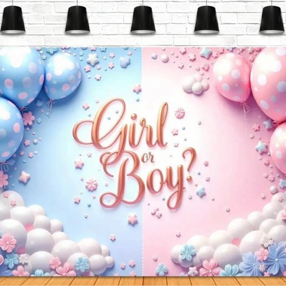 Gender Reveal Backdrop Banner - Pink and Blue